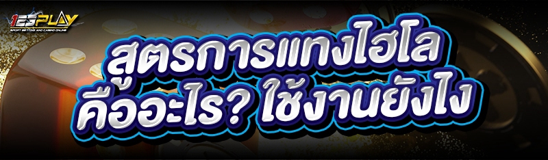 สูตรการแทงไฮโล คืออะไร? ใช้งานยังไง